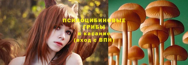 первитин Белоозёрский