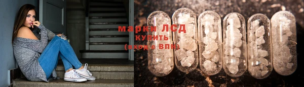 прущие крисы Белокуриха