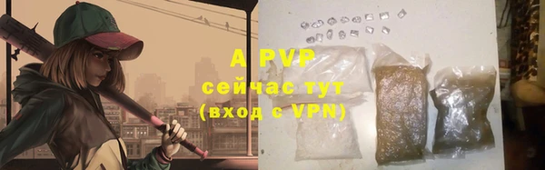 прущие крисы Белокуриха