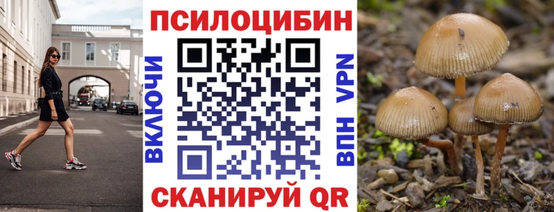 мориарти формула  Северская  Галлюциногенные грибы MAGIC MUSHROOMS  купить наркоту 